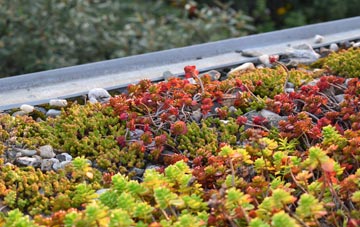 the cost of Lytchett Minster green roof installation