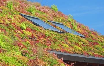 Lytchett Minster living roof systems
